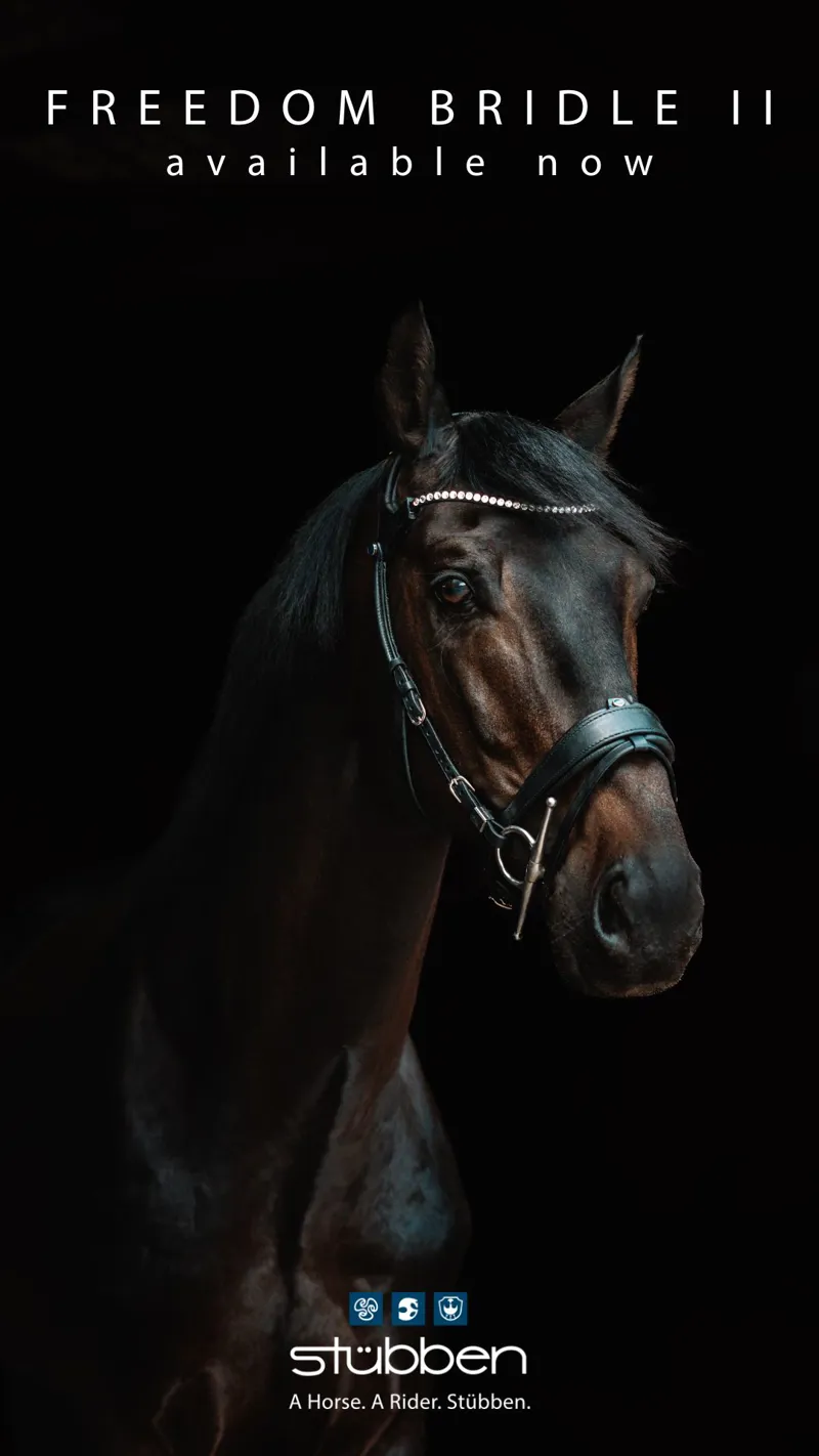 Stubben Freedom II Snaffle Bridle TRIAL-3